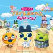 ヒメ日記 2025/03/28 03:58 投稿 まこと 性の極み 技の伝道師　五反田店