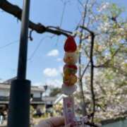 ヒメ日記 2025/04/08 09:28 投稿 まこと 性の極み 技の伝道師　五反田店