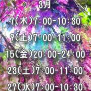 ヒメ日記 2024/03/07 05:00 投稿 かんな ハピネス東京