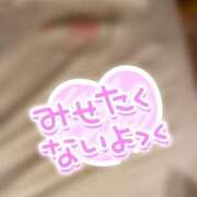 ヒメ日記 2025/09/07 13:59 投稿 かれん☆モデル系ハイスペック美女 ポポロン☆広島