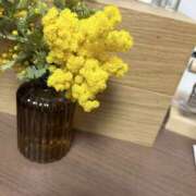 ヒメ日記 2025/03/21 12:36 投稿 もい club さくら日本橋店