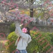 ヒメ日記 2025/04/09 11:25 投稿 みみ スピード難波店