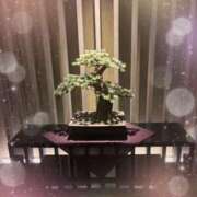 ヒメ日記 2025/06/20 11:45 投稿 みみ スピード難波店