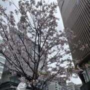 ヒメ日記 2026/04/01 15:11 投稿 みみ スピード難波店