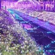 ヒメ日記 2024/12/14 07:49 投稿 ともか 奥様鉄道69 岡山店