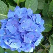 ヒメ日記 2025/07/06 23:39 投稿 ともか 奥様鉄道69 岡山店