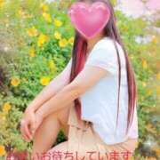 ヒメ日記 2025/08/18 08:19 投稿 ともか 奥様鉄道69 岡山店