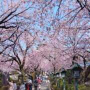 なぎさ 待ちきれなくて🌸 池袋で熟女の風俗 マダムいやーん