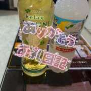 ヒメ日記 2025/09/12 09:00 投稿 みあ 僕らのぽっちゃリーノin越谷