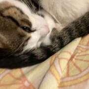 ヒメ日記 2025/01/08 00:44 投稿 みあ 僕らのぽっちゃリーノin大宮