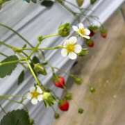 ヒメ日記 2025/04/28 23:55 投稿 さき ぽちゃSPA