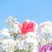 ヒメ日記 2025/04/07 13:14 投稿 うた　体験入店 愛ロマンス