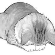 ヒメ日記 2025/06/15 01:43 投稿 かりん Welcome Cafe(ウェルカムカフェ) 八王子本店