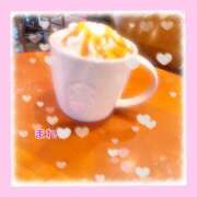 ヒメ日記 2025/08/28 14:21 投稿 まれい 大阪人妻援護会