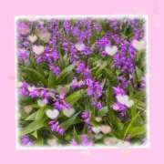 ヒメ日記 2025/05/05 06:20 投稿 まれい 東大阪人妻援護会