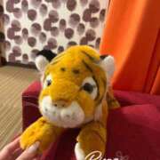 ヒメ日記 2025/06/11 22:50 投稿 りおな　プラチナ CLUB虎の穴 福岡店