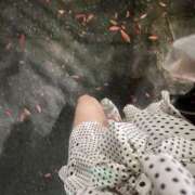 ヒメ日記 2025/07/30 20:02 投稿 りおな　プラチナ CLUB虎の穴 福岡店