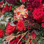 ヒメ日記 2025/12/09 12:02 投稿 りおな　プラチナ CLUB虎の穴 福岡店