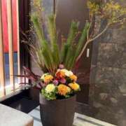 ヒメ日記 2025/12/28 21:39 投稿 りおな　プラチナ CLUB虎の穴 福岡店