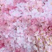 ヒメ日記 2026/03/28 12:01 投稿 りおな　プラチナ CLUB虎の穴 福岡店