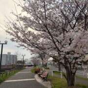 ヒメ日記 2026/04/03 19:07 投稿 りおな　プラチナ CLUB虎の穴 福岡店