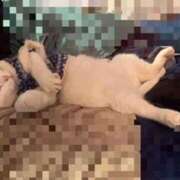 ヒメ日記 2026/01/19 08:15 投稿 伊東ひびき 五反田発 痴漢電車or全裸入室