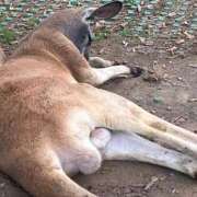 ヒメ日記 2025/06/20 20:08 投稿 さな ぷよステーション 蒲田店