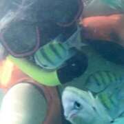 ヒメ日記 2025/07/22 20:18 投稿 さな ぷよステーション 蒲田店