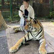 ヒメ日記 2025/08/19 19:18 投稿 さな ぷよステーション 蒲田店