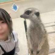 ヒメ日記 2025/09/13 20:58 投稿 さな ぷよステーション 蒲田店