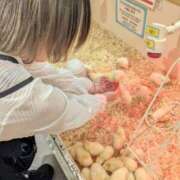 ヒメ日記 2025/09/16 18:38 投稿 さな ぷよステーション 蒲田店