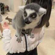 ヒメ日記 2025/09/17 12:08 投稿 さな ぷよステーション 蒲田店