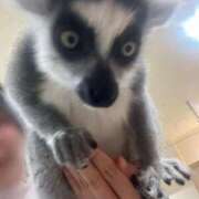 ヒメ日記 2025/09/27 18:58 投稿 さな ぷよステーション 蒲田店