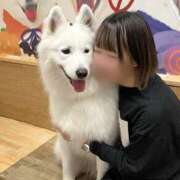 ヒメ日記 2025/10/03 19:08 投稿 さな ぷよステーション 蒲田店