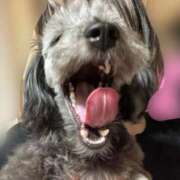 ヒメ日記 2025/10/23 19:18 投稿 さな ぷよステーション 蒲田店