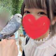 ヒメ日記 2025/12/17 19:28 投稿 さな ぷよステーション 蒲田店