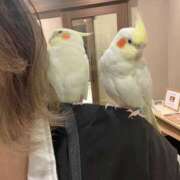 ヒメ日記 2026/01/09 19:08 投稿 さな ぷよステーション 蒲田店