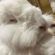 ヒメ日記 2026/01/11 17:28 投稿 さな ぷよステーション 蒲田店