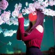 ヒメ日記 2026/04/01 19:18 投稿 さな ぷよステーション 蒲田店