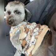 ヒメ日記 2026/04/10 19:08 投稿 さな ぷよステーション 蒲田店