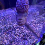 ヒメ日記 2025/07/24 16:28 投稿 まひる 千葉人妻花壇