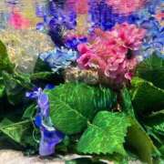 ヒメ日記 2025/07/28 16:14 投稿 まひる 千葉人妻花壇