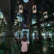 ヒメ日記 2025/08/11 17:11 投稿 まひる 千葉人妻花壇