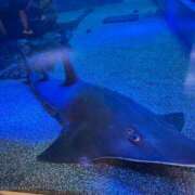 ヒメ日記 2025/09/19 16:12 投稿 まひる 千葉人妻花壇