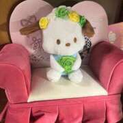 ヒメ日記 2025/09/29 16:14 投稿 まひる 千葉人妻花壇