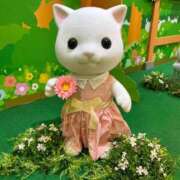 ヒメ日記 2025/10/10 17:36 投稿 まひる 千葉人妻花壇