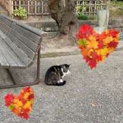 ヒメ日記 2025/01/31 12:47 投稿 みつき 東京リップ 立川店