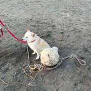 ヒメ日記 2025/02/16 10:00 投稿 みつき 東京リップ 立川店