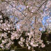 ヒメ日記 2025/04/05 10:06 投稿 みつき 東京リップ 立川店