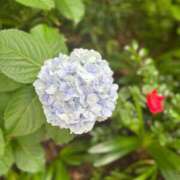 ヒメ日記 2025/06/15 20:43 投稿 みつき 東京リップ 立川店